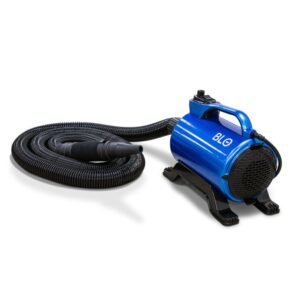 BLO AIR-RS Car Dryer – Compact, Powerful, and Lightweight